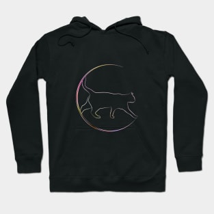 Cat Pet Domestic Life Chrome Graphic Hoodie